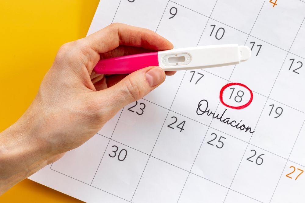 Calendario marcando el periodo de ovulación, importante en la semana 1 de embarazo.